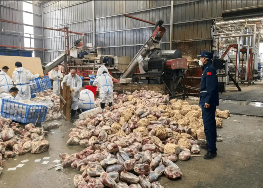 佛山集中销毁走私冻品216吨，近年来规模最大的一次！